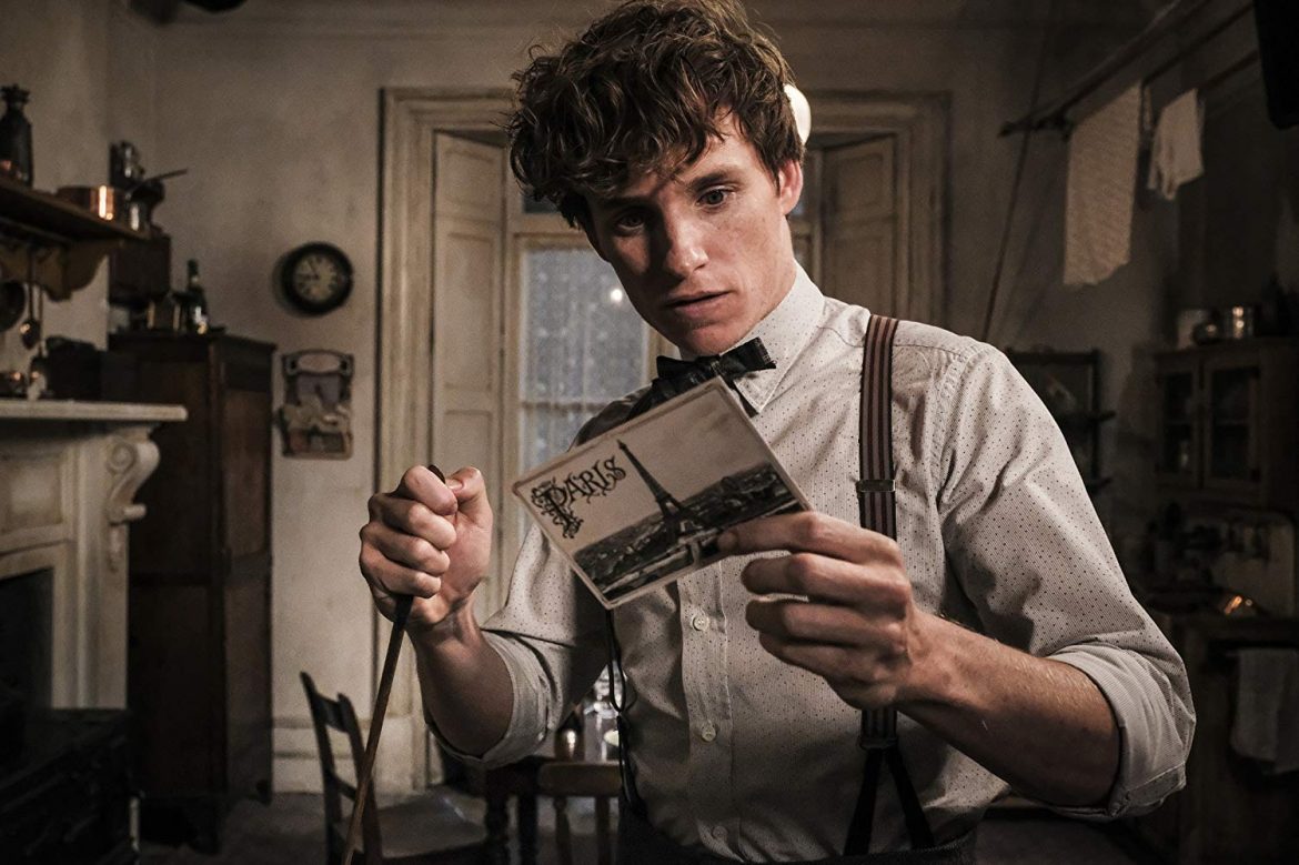 newt scamander fantastic beasts and the crimes of grindelwald